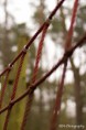 /album/buiten-fotografie/klimbrug-1-jpg/