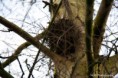 /album/buiten-fotografie/nest-1-jpg/