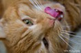 /album/dieren/noortje-4-jpg/